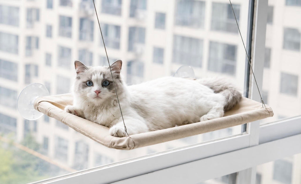 Le Coin Câlin — Hamac de fenêtre pour chat