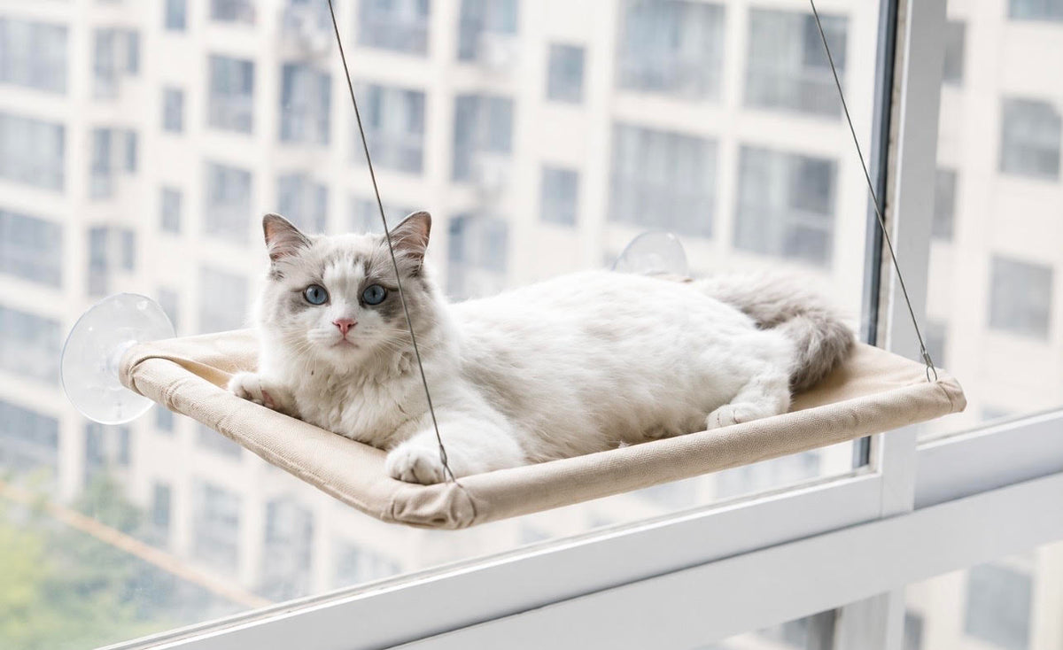 Le Coin Câlin — Hamac de fenêtre pour chat